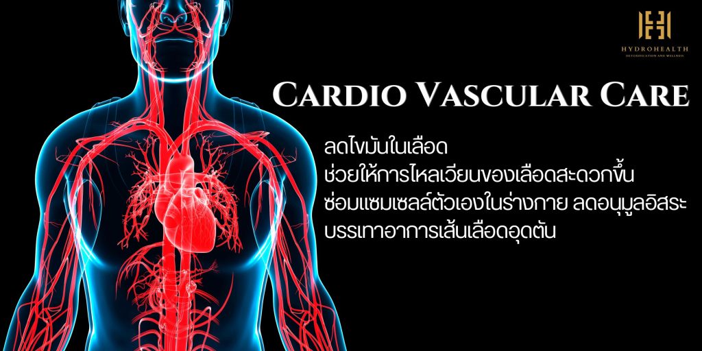 Cardio Vascular Care