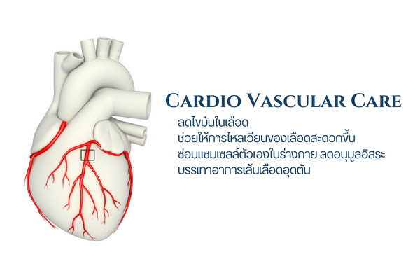 Cardio Vascular Care