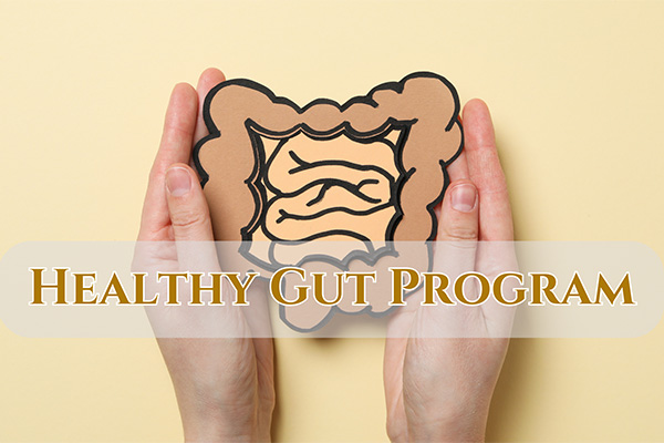 Healthy Gut Program